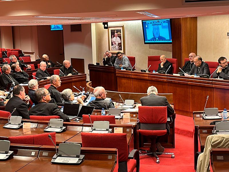 Asamblea Plenaria Extraordinaria de la Conferencia Episcopal