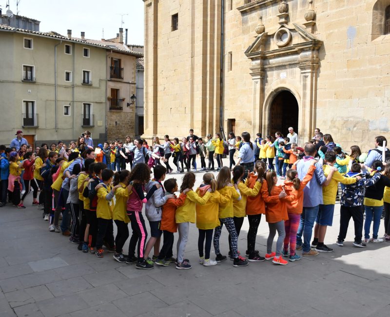 Movimiento Scout Riojano MSC